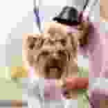 price3.jpg