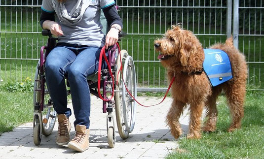 Dein bester Assistent